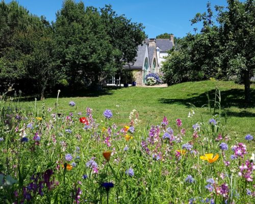 bkingBelz_domainedekeryargon_jardin